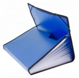 Папка-картотека на 13отд пластик 0,7мм с резинкой с/окантовкой Бюрократ синий (18)