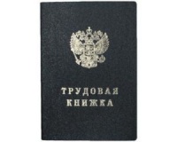 Бланк Книжка трудовая 88х125мм офсет 22л (250) 